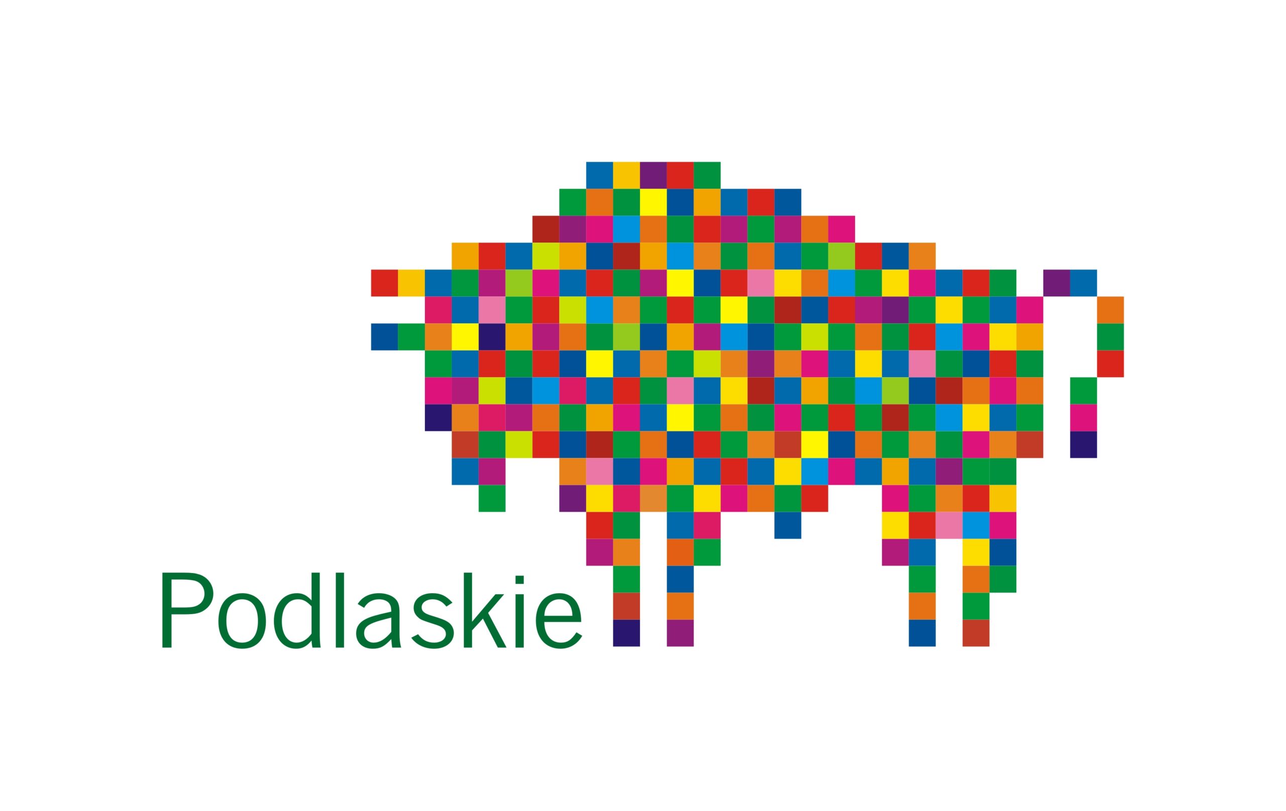 Województwo Podlaskie Partnerem wyjazdu i przygotowań drużyny do Finału Krajowego Ogólnopolskiego Turnieju Bezpieczeństwa w Ruchu Drogowym.